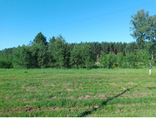 20240629 ������-600 ���������� 073825.jpg