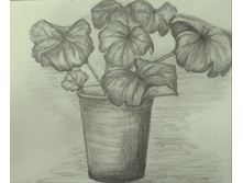 ������ � �������