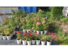 ����������� viber 2024-07-08 16-54-00-941.jpg