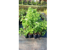 ����������� viber 2024-07-08 16-54-01-949.jpg