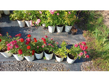 ����������� viber 2024-07-08 16-54-01-894.jpg