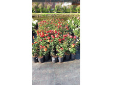 ����������� viber 2024-07-08 16-54-02-186.jpg