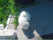 20240629 ������-600 ���������� 154626.jpg