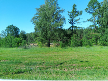 20240629 ������-600 ���������� 073819.jpg