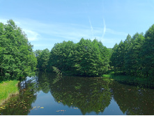 20240630 ������-600 ���������� 131651.jpg