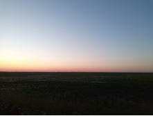 20240629 ������-600 ���������� 205731.jpg