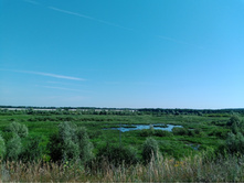 20240630 ������-600 ���������� 094155.jpg