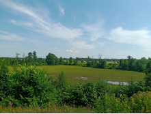 20240630 ������-600 ���������� 150559.jpg