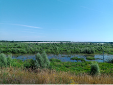 20240630 ������-600 ���������� 094316.jpg