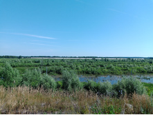 20240630 ������-600 ���������� 094321.jpg