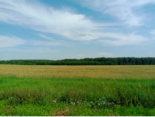 20240630 ������-600 ���������� 142439.jpg