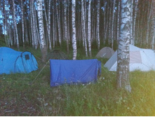 20240629 ������-600 ���������� 213120.jpg