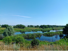 20240630 ������-600 ���������� 094801.jpg