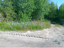 20240630 ������-600 ���������� 072928.jpg