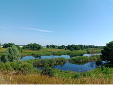 20240630 ������-600 ���������� 094800.jpg