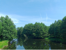 20240630 ������-600 ���������� 131637.jpg