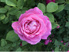 ���� ���� (�)