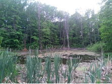 20240530 ���������� �����-���� �������� 195915.jpg