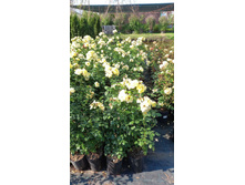 ����������� viber 2024-07-08 16-54-02-846.jpg