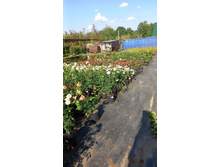 ����������� viber 2024-07-08 16-54-02-239.jpg