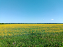 20240629 ������-600 ���������� 145851.jpg