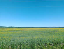 20240629 ������-600 ���������� 145424.jpg