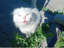 20240629 ������-600 ���������� 154843.jpg