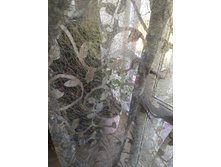 IMG 20240712 131408.jpg