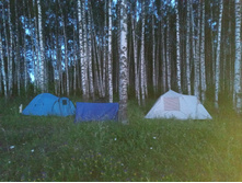 20240629 ������-600 ���������� 213131.jpg