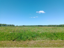 20240629 ������-600 ���������� 130710.jpg