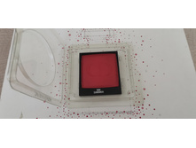 IMG 20240708 105344.jpg