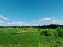 20240629 ������-600 ���������� 094844.jpg