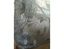 IMG 20240712 131434 1.jpg