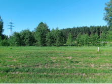 20240629 ������-600 ���������� 073824.jpg