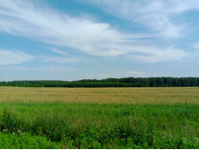 20240630 ������-600 ���������� 142438.jpg