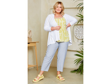 ����� ����� 2650�.jpg