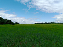 20240623 �� ��������� 105554.jpg