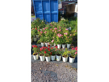 ����������� viber 2024-07-08 16-54-01-799.jpg