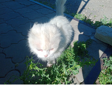 20240629 ������-600 ���������� 154844.jpg