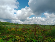 20240803 ������-200 ���������� 103214.jpg