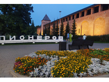 IMG 20240725 213654.jpg