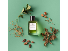 Patchouli Mania ESSENTIAL PARFUMS � � 150�� 5100+%+���� ������