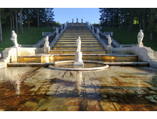 IMG 20240613 194136.jpg