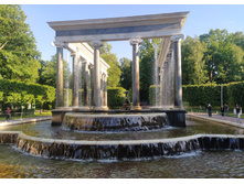 IMG 20240613 192223.jpg