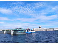 IMG 20240610 173446.jpg