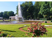 IMG 20240613 173539.jpg