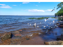 IMG 20240613 162810.jpg