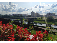 IMG 20240727 173048.jpg