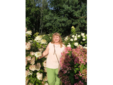 IMG 20240803 182722.jpg