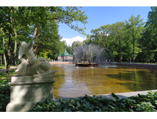 IMG 20240613 163710.jpg